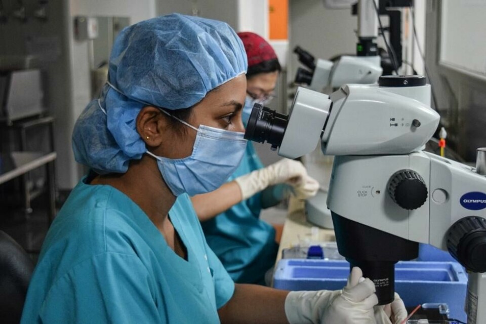 I løpet av få timer rullet smittebølgen inn over laboratoriene. Bildet viser teknikere som arbeider ved et laboratorium i Singapore. I løpet av få timer rullet smittebølgen inn over laboratoriene. Bildet viser teknikere som arbeider ved et laboratorium i Singapore. Foto: Catherine Lai / AFP/NTB