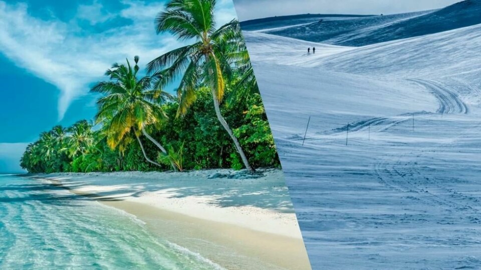 Reiser til Maldivene og en fjellhytte ved Synnfjell er del av tiltalen mot direktøren i analyseforetaket Rhipto, som har mottatt millioner av norske bistandskroner de siste årene. (Bildemontasje: Panorama).