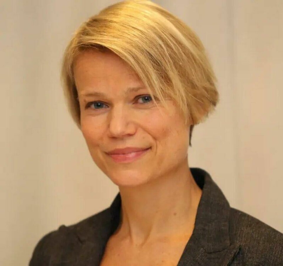 Eirinn Larsen er historieprofessor ved Universitetet i Oslo. Eirinn Larsen er historieprofessor ved Universitetet i Oslo. Foto: UiO