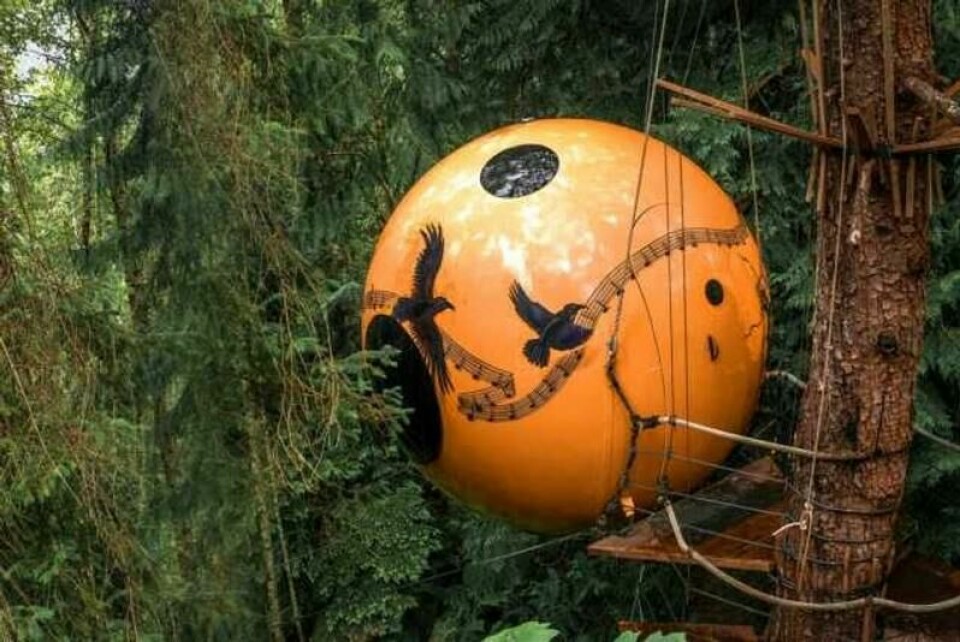 I Canadas skoger kan du nyte livet i en av Free Spirit Spheres' sovekuler. Her er «Melody» avbildet. I Canadas skoger kan du nyte livet i en av Free Spirit Spheres' sovekuler. Her er «Melody» avbildet. Foto: Freespiritspheres.com / Free Spirit Spheres