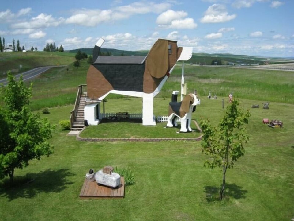 Dog Bark Park Inn i Idaho i USA er ikke som andre overnattingssteder. Hotellet er formet som en diger beagle-hund, og er perfekt for hundeelskere. Dog Bark Park Inn i Idaho i USA er ikke som andre overnattingssteder. Hotellet er formet som en diger beagle-hund, og er perfekt for hundeelskere. Foto: Dog Bark Park Inn / Hostunusual.com