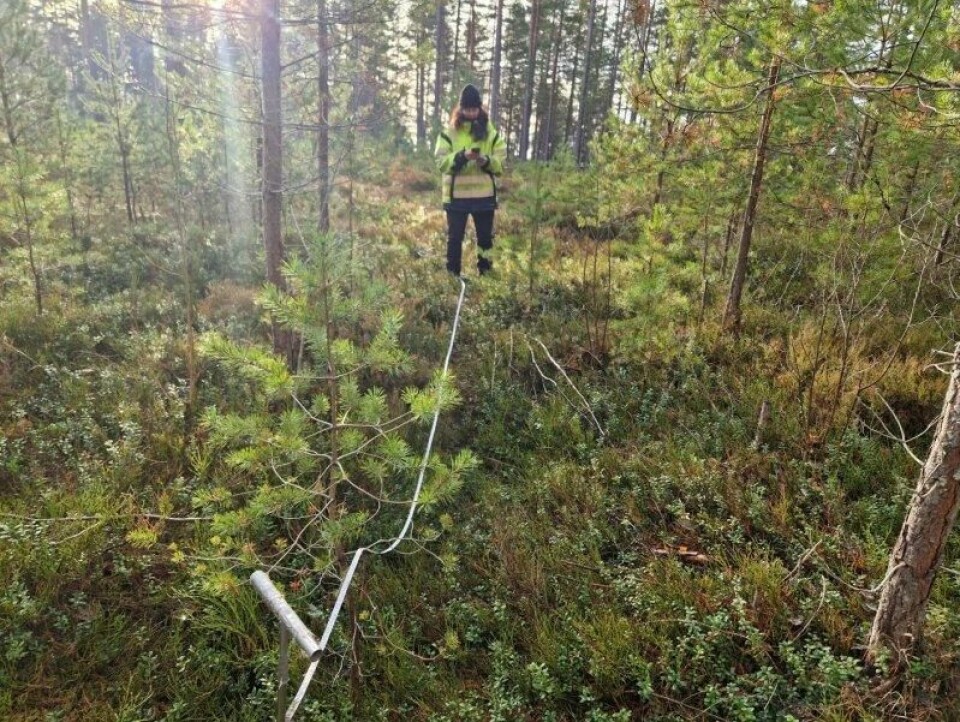 På Modum, ikke langt unna Sem, er det funnet mange kullgroper. I gropene la de torv, tente på og lagde trekull. Det fraktet de til stedet der malmen var og lagde jern. På Modum, ikke langt unna Sem, er det funnet mange kullgroper. I gropene la de torv, tente på og lagde trekull. Det fraktet de til stedet der malmen var og lagde jern. Foto: Nina Kristiansen
