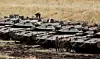 Israelske stridsvogner langs grensen til Syria i det Israelsk-annekterte området Golanhøydene, 10. mai. Scanpix/AFP.