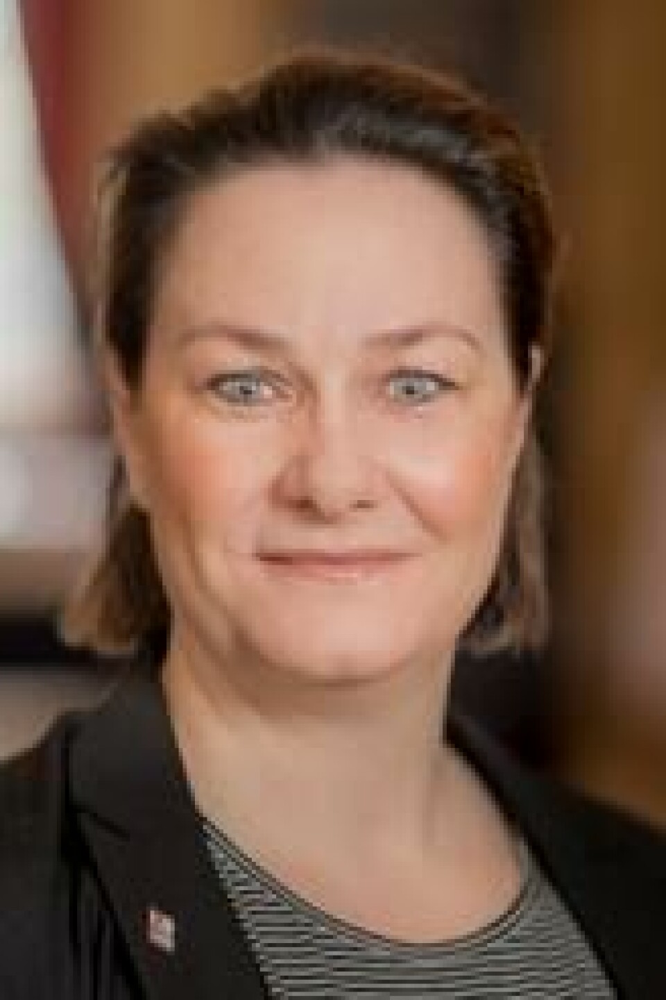 – Lavterskel og forebyggende tiltak er der vi trenger mer utbygging i Norge, sier generalsekretær Linda Berg-Heggelund i Mental Helse. – Lavterskel og forebyggende tiltak er der vi trenger mer utbygging i Norge, sier generalsekretær Linda Berg-Heggelund i Mental Helse. Foto: Mental Helse