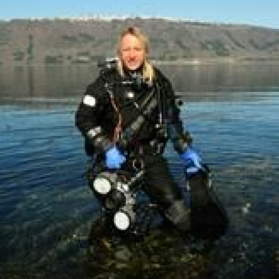 Lill Haugen jobber frivillig som seniorrådgiver i Hjelp Havets Haier og dykker jevnlig over hele verden. Her fra en fjord i Møre og Romsdal. Foto: Helge Veum Lill Haugen jobber frivillig som seniorrådgiver i Hjelp Havets Haier og dykker jevnlig over hele verden. Her fra en fjord i Møre og Romsdal. Foto: Helge Veum