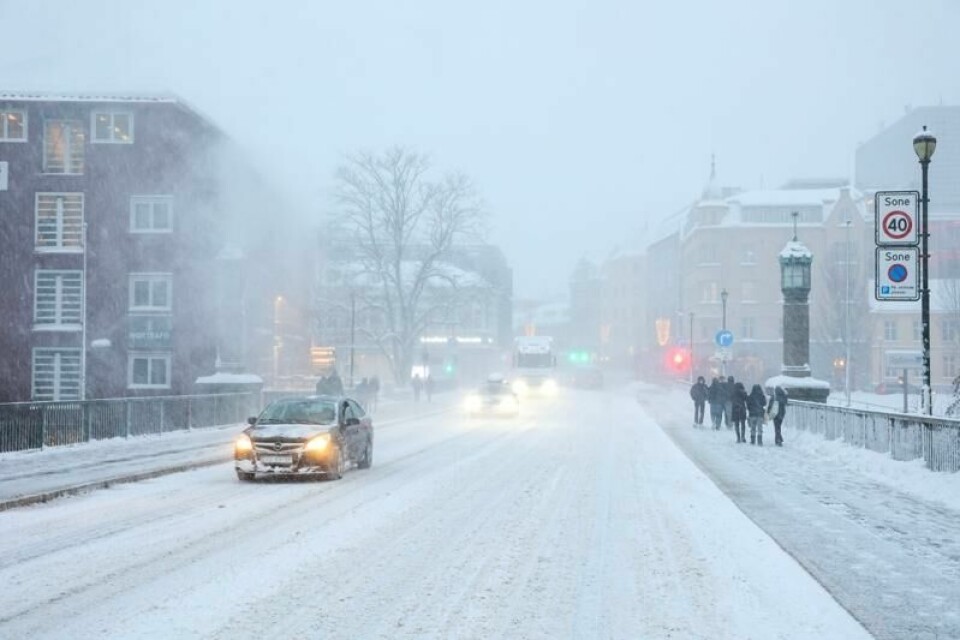 Det har snødd kraftig i Trondheim det siste døgnet.