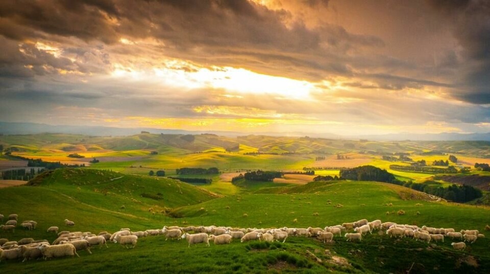 Svaret forskerne nå enes om, er at New Zealand og Island er landene hvor mennesker har de beste odds for å overleve dersom den globale verdensorden skulle bryte sammen. Foto: BBC Earth