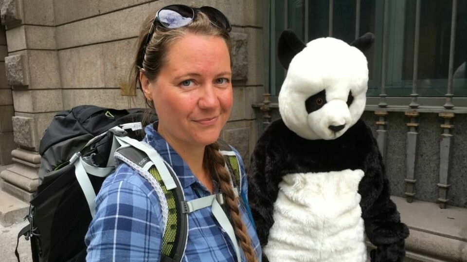WWFs skogbiolog Trude Myhre skal gå fra Oslo til Trondheim for å sette fokus på skogvern. Startskuddet gikk ved Klima- og miljødepartementet. Foto: WWF Verdens naturfond