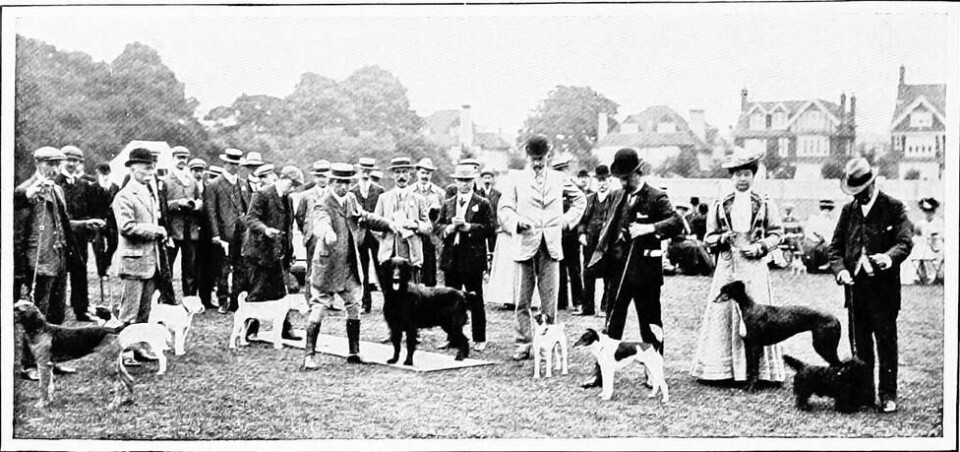 En gruppe hunder og deres eiere, bildet er tatt i England cirka 1907. Foto: Internet Archive Book Images/Public Domain En gruppe hunder og deres eiere, bildet er tatt i England cirka 1907. Foto: Internet Archive Book Images/Public Domain