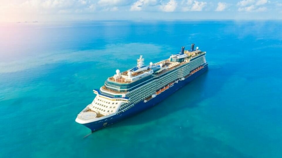 På cruiseskip kan det dukke opp både ananaser og flamingoer. Disse har en hemmelig betydning.