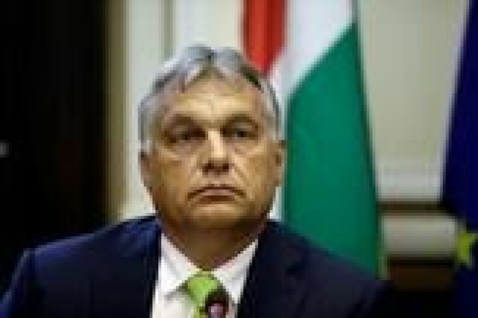 Ungarns statsminister Viktor Orbán, her under et besøk i Italia. Foto: Luca Bruno / AP / NTB scanpix Ungarns statsminister Viktor Orbán, her under et besøk i Italia. Foto: Luca Bruno / AP / NTB scanpix Foto: NTB scanpix