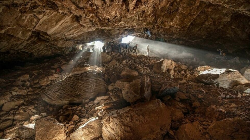 De oppsiktsvekkende oppdagelsene ble gjort under arkeologiske arbeider i Chiquihuite-grotten i det sentrale Mexico. – Dersom det er sant at folk var i Zacatecas for 32.000 år siden, så forandrer det alt, sier arkeolog Loren Davis ved Oregon State University.