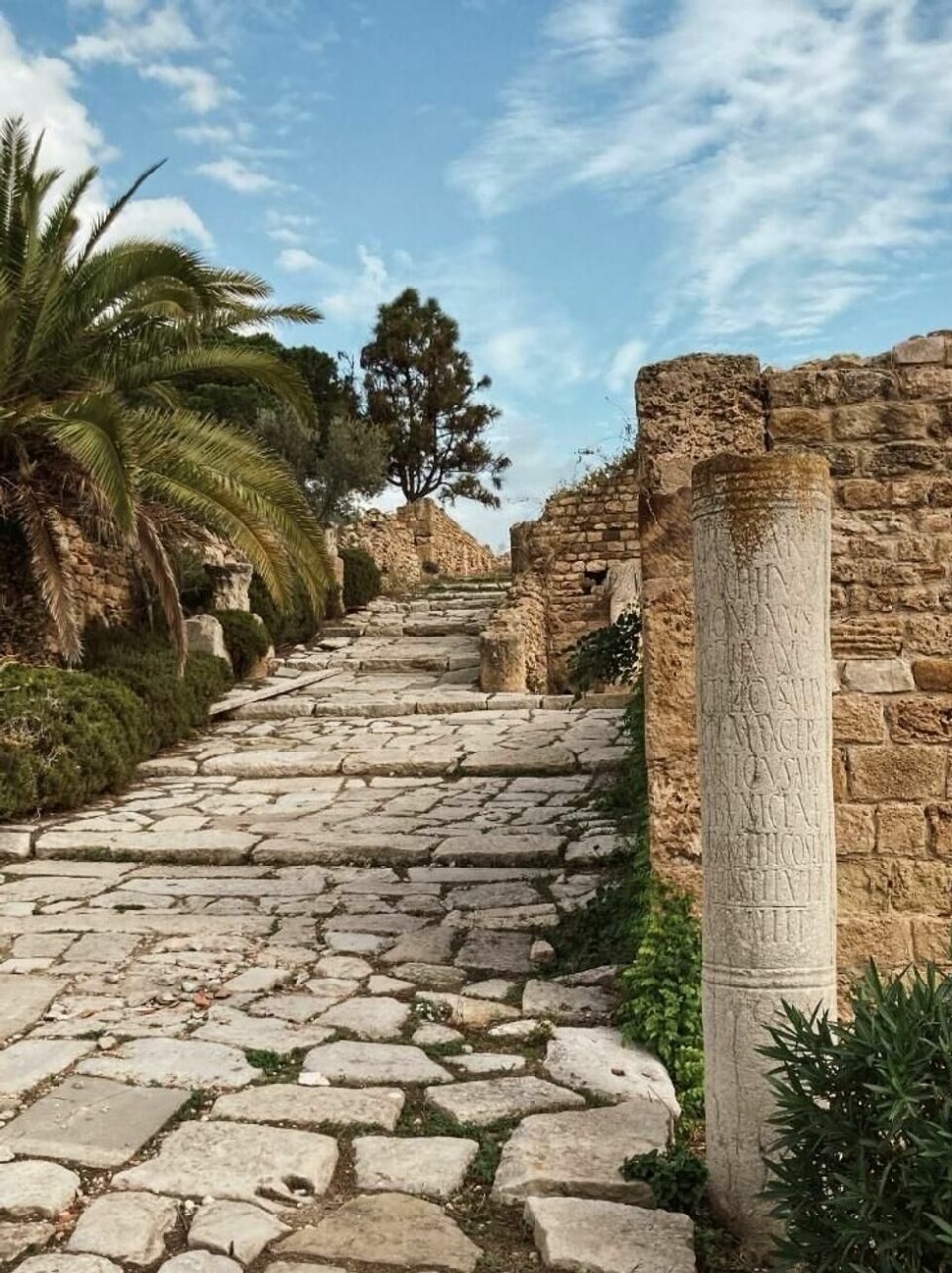 Gamle romerske ruiner krydrer landskapet i Tunis. Her fra Carthage. Gamle romerske ruiner krydrer landskapet i Tunis. Her fra Carthage. Foto: Ingrid Elle / Kapital