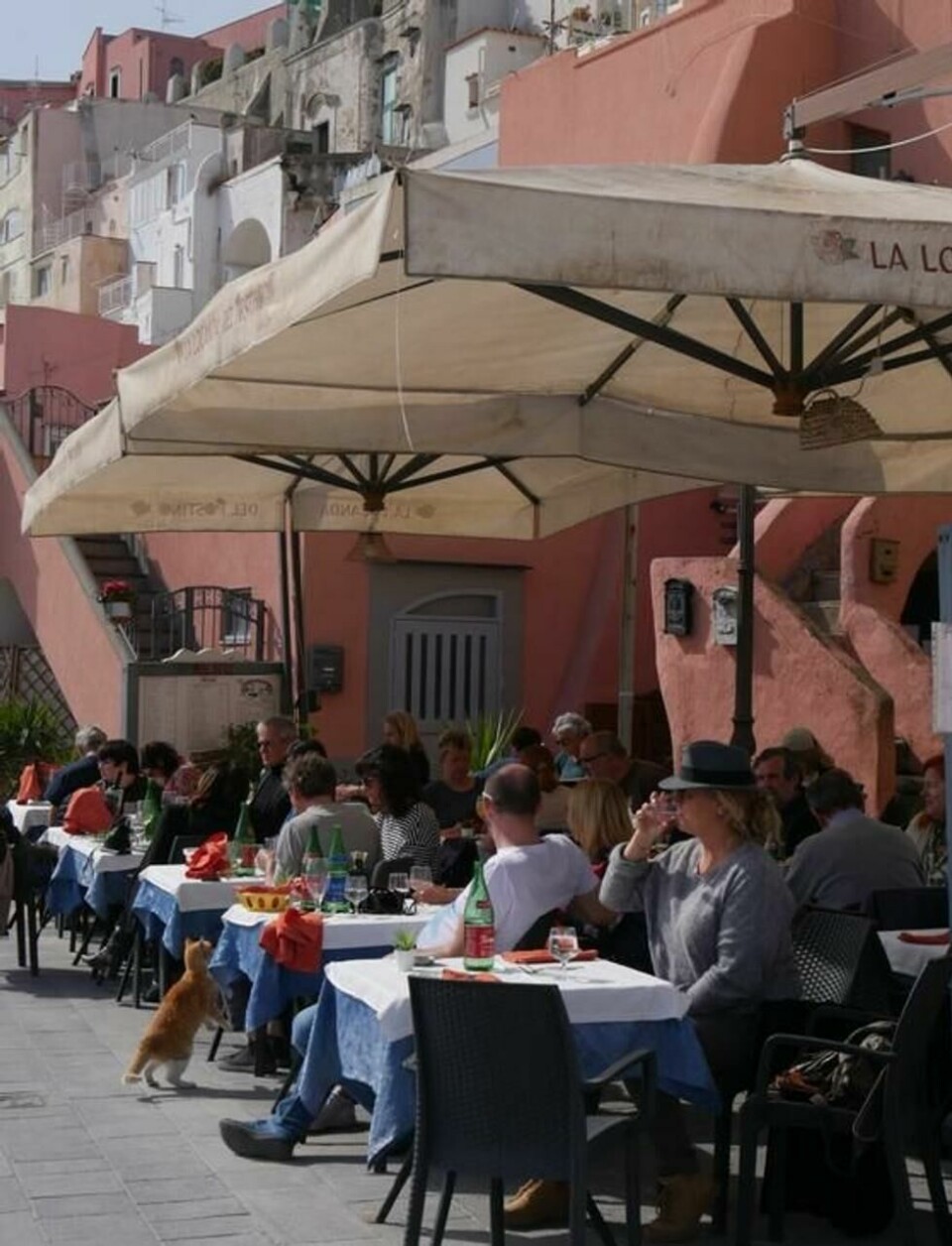 Mai til juni og september til oktober er de beste månedene for et besøk i Procida. Mai til juni og september til oktober er de beste månedene for et besøk i Procida. Foto: Arild Molstad