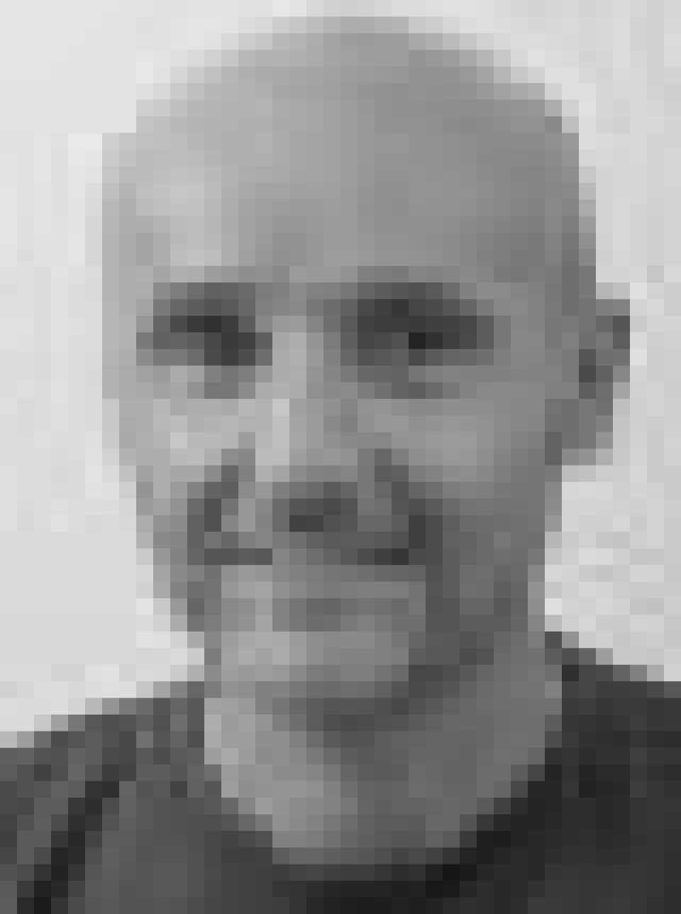 Arnulf Soleng er seniorforsker ved Folkehelseinstituttet. Arnulf Soleng er seniorforsker ved Folkehelseinstituttet. Foto: FHI