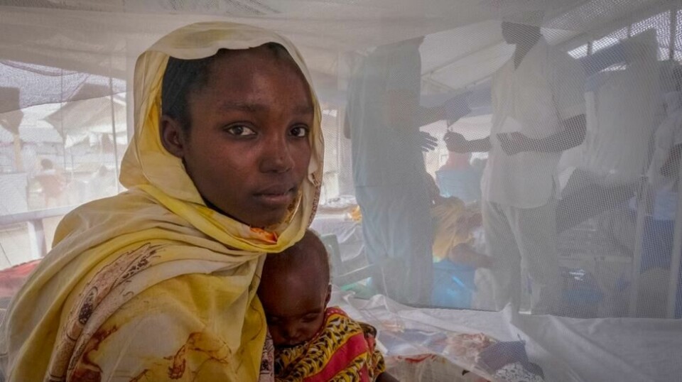 Sudanske barn som lider av underernæring får behandling på en klinikk drevet av Leger Uten Grenser i en flyktningleir i Tsjad. Foto: Patricia Simon / AP / NTB