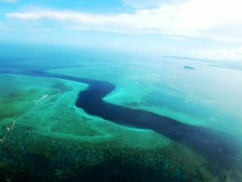 Et vulkankammer som kollapset utenfor kysten av den franske øya Mayotte i Det indiske hav kan ha ført til den lavfrekvente seismiske bølgen som raskt beveget seg jorda rundt. Illustrasjonsfoto fra Mayotte: Shutterstock / NTB scanpix