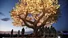 Kunstinstallasjonen «The Tree of Ténéré» er laget av et kunstnerkollektiv fra San Francisco. Her under festivalen «Burning Man» i Black Rock-ørkenen i Nevada, USA 30. august i fjor. Foto: Reuters / NTB scanpix.