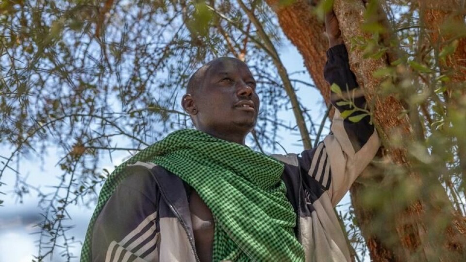 Petro Lysiri er viltvokter i Makame, Nord-Tanzania. Ved å beskytte skogen og miljøet har de skapt en modell for salg av karbonkreditter, som gir penger direkte til bake til investeringer i lokalsamfunnet.