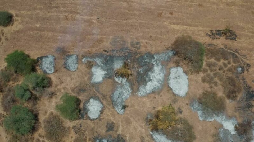 Bildet viser et område utenfor verneområdet der lokalbefolkningen har brent deler av skogen for å skaffe land til jordbruk. Bildet viser et område utenfor verneområdet der lokalbefolkningen har brent deler av skogen for å skaffe land til jordbruk. Foto: Frank Papushka