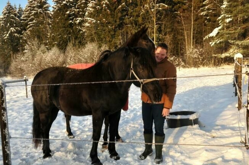 Hestene til Susanne er livredde for elg. Hestene til Susanne er livredde for elg. Foto: Martine F. Lysgård