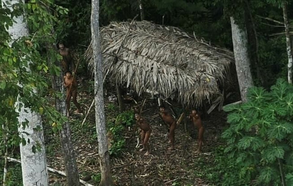 Et samfunn i Amazonas man antar ikke har hatt kontakt med sivilisasjonen reagerer overfor et fly som passerer over dem i mars 2014. Foto: Reuters / NTB scanpix. Et samfunn i Amazonas man antar ikke har hatt kontakt med sivilisasjonen reagerer overfor et fly som passerer over dem i mars 2014. Foto: Reuters / NTB scanpix.
