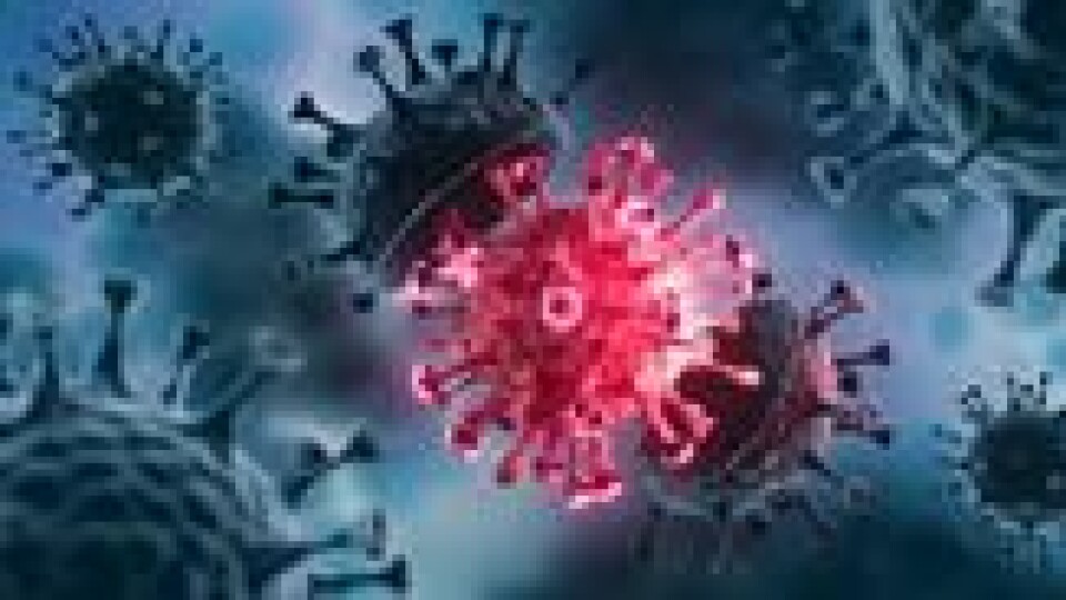 – Viruset klarer seg bedre i spyttdråper utenfor kroppen i kaldt og tørt vær. Våre slimhinner blir tørrere i kaldt og tørt vær og dermed er mer mottakelige for virus, samt at vi oppholder oss mer innendørs om vinteren, sier FHI-professor Preben Aavitsland. – Viruset klarer seg bedre i spyttdråper utenfor kroppen i kaldt og tørt vær. Våre slimhinner blir tørrere i kaldt og tørt vær og dermed er mer mottakelige for virus, samt at vi oppholder oss mer innendørs om vinteren, sier FHI-professor Preben Aavitsland.