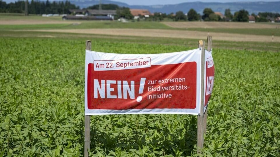 En plakat med oppfordring om å stemme nei til forslaget om mer naturvern, står i en åker i Höchstetten i Sveits. Foto: Peter Schneider / AP / NTB