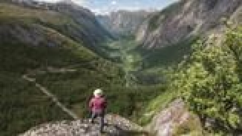 KLATREETAPPEN: Veien går i hårnålsvinger, og fjellene er nakne i bakkene opp Finnsetlia. Foto: Bjørn Magne Øverås KLATREETAPPEN: Veien går i hårnålsvinger, og fjellene er nakne i bakkene opp Finnsetlia. Foto: Bjørn Magne Øverås