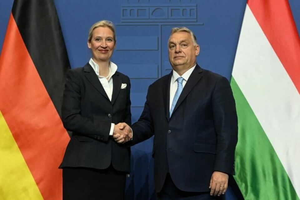 AfDs leder og statsministerkandidat Alice Weidel møtte Ungarns statsminister Viktor Orban i Budapest onsdag.