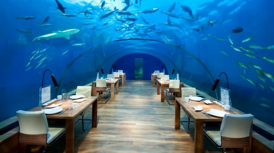 Conrad Maldives Rangali Island på Maldivene gir deg en restaurantopplevelse få kan matche. Foto: Conrad Maldives Rangali Island