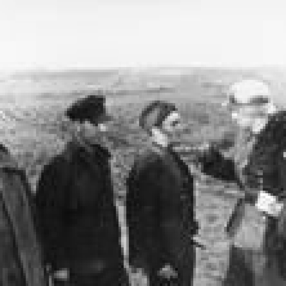Norske frontkjempere ble også sendt til Russland. Her er soldater fra Den norske legion som forhører russiske krigsfanger et år etter invasjonen. Foto: Falt i det fri (public domain)/Bundesarchiv Bild Norske frontkjempere ble også sendt til Russland. Her er soldater fra Den norske legion som forhører russiske krigsfanger et år etter invasjonen. Foto: Falt i det fri (public domain)/Bundesarchiv Bild