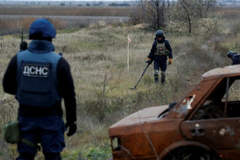 Ukrainske mineryddere leter etter ueksploderte landminer i Kherson-regionen i november 2022. Ukrainske mineryddere leter etter ueksploderte landminer i Kherson-regionen i november 2022. Foto: REUTERS/Murad Sezer/File Photo
