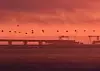 Birds fly past a road-and-rail bridge, which is constructed to connect the Russian mainland with the Crimean peninsula, at sunrise in the Kerch Strait, Crimea November 26, 2018. REUTERS/Pavel Rebrov TPX IMAGES OF THE DAY Foto: Pavel Rebrov / Reuters