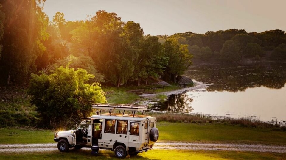 Fra safaribilen har du utsikt til mange av de 1500 dyrene i Wildlife and Nature Park Eriksberg. Det skal være Nordens største safaripark.