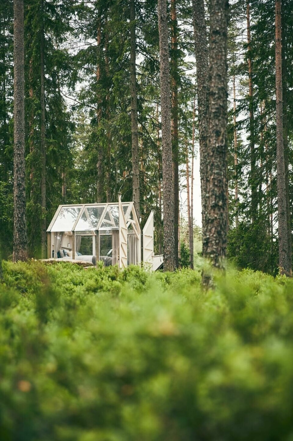 På Erikson Cottage kan besøkende padle og vandre samt overnatte i et glasshus i skogen. Erikson Cottage har også et eget gårdsbakeri. På Erikson Cottage kan besøkende padle og vandre samt overnatte i et glasshus i skogen. Erikson Cottage har også et eget gårdsbakeri. Foto: Turistrådet Västsverige