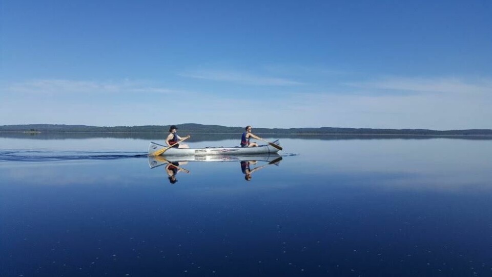 Glaskogen naturreservat byr på fantastiske padlingsmuligheter og vakre naturopplevelser. Glaskogen naturreservat byr på fantastiske padlingsmuligheter og vakre naturopplevelser.