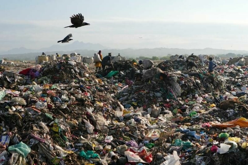 Indiske søppelplukkere leter etter gjenbrukbart materiale på en søppelhaug full av plast i Jammu i India i april.