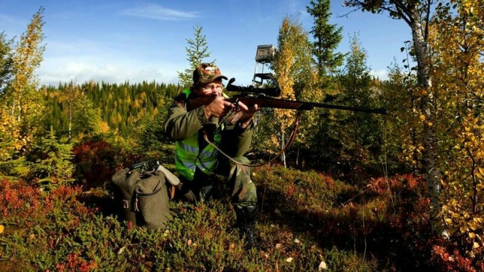 Etter 2008 har utbyttet fra hjortejakta vært større enn fra elgjakta. Etter det har trenden fortsatt vært nedadgående for elg og økende for hjort.