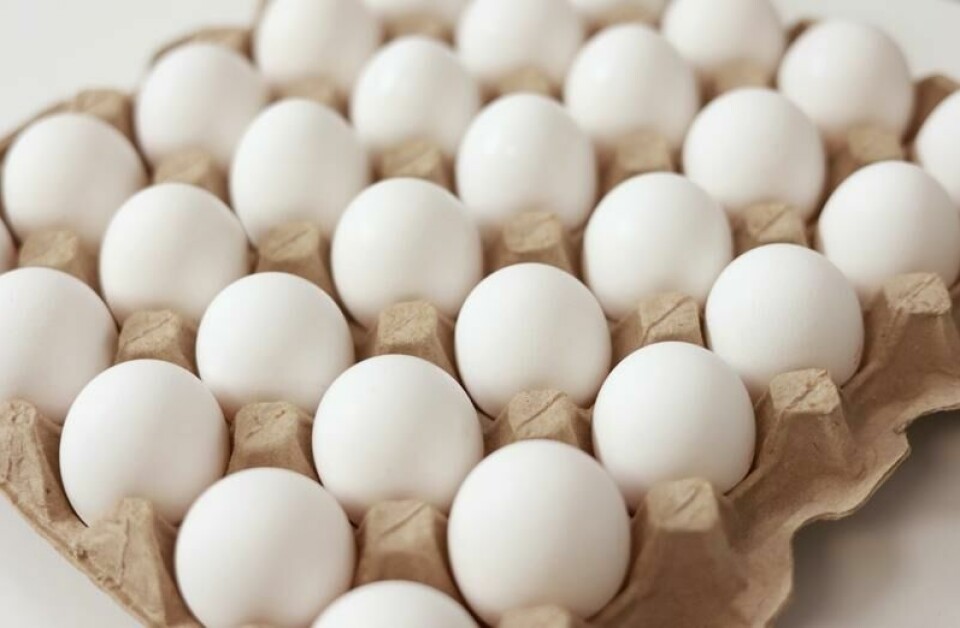 Inntak av mellom ett og seks egg per uke kan redusere risikoen for tidlig død med 15 prosent. Inntak av mellom ett og seks egg per uke kan redusere risikoen for tidlig død med 15 prosent. Foto: Andrii Medvediuk / Shutterstock / NTB