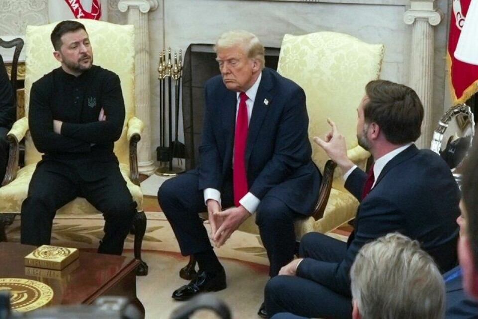 Visepresident J.D. Vance (nærmest) sammen med presidentene Volodymyr Zelenskyj og Donald Trump under møtet fredag.