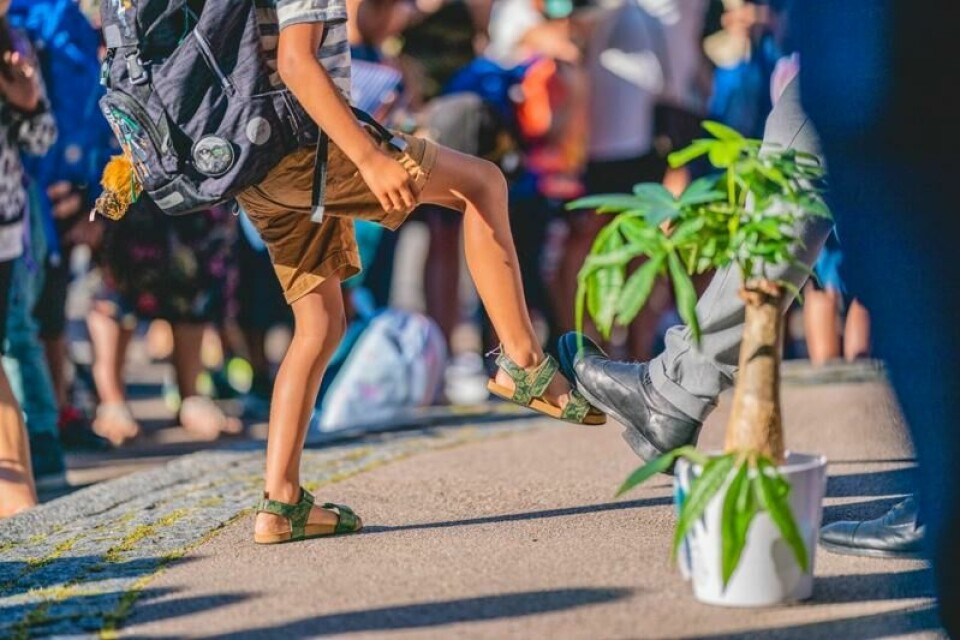 For de yngste skolestartene er det 9,9 prosent sannsynlighet for å få ADHD sammenlignet med kun 6,2 prosent for de eldste, viser en studie fra Folkehelseinstituttet (FHI).