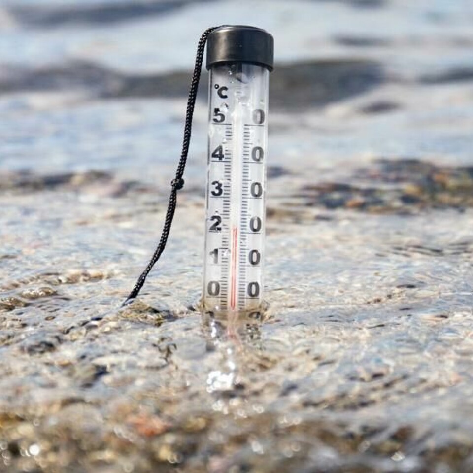 En varm sommer har gitt høye badetemperaturer og mange badende mennesker. Høy vanntemperatur gir bedre vekstbetingelser for enkelte bakterier som kan gi alvorlig sykdom.