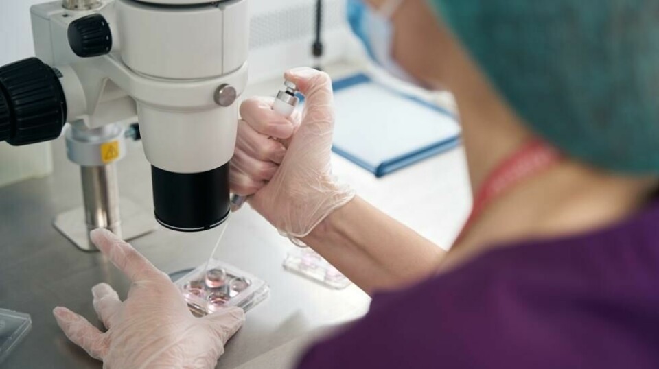 Illustrasjonsbilde. Forskere tror medikament kan begrense aldring av eggstokkene, og forlenge kvinners fertilitet.
