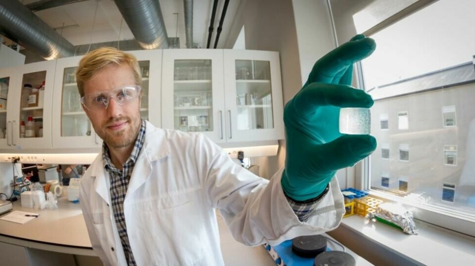 SINTEF-forsker og bioteknolog Øystein Arlov viser fram en alginatgelé som bokstavelig talt danner grobunn for de kunstige bruskcellene. Foto: Thor Nielsen