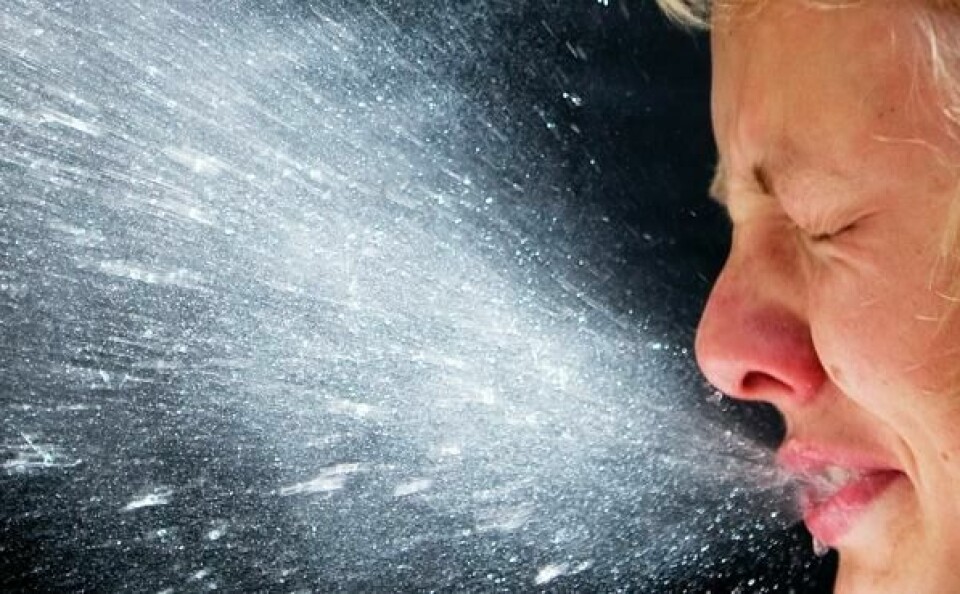 Både influensa A-virus og B-virus er i omløp. Forekomsten er i ferd med å øke.