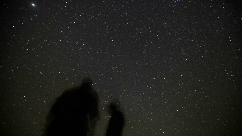 Betelgeuse er en av de sterkeste stjernene på vår stjernehimmel og kan enkelt observeres med det blotte øyet. Betelgeuse er en av de sterkeste stjernene på vår stjernehimmel og kan enkelt observeres med det blotte øyet. Foto: David Goldman / AP/NTB