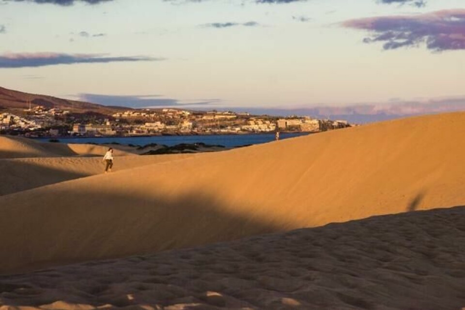 Maspalomas' sanddyner ligger tett opp mot havet, og er delvis fredet. Maspalomas' sanddyner ligger tett opp mot havet, og er delvis fredet. Foto: Shutterstock