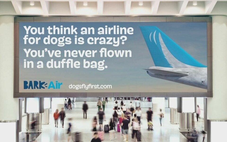 Reklamen med hundehumor for Bark Air sier det meste.. Reklamen med hundehumor for Bark Air sier det meste.. Foto: Bark Inc