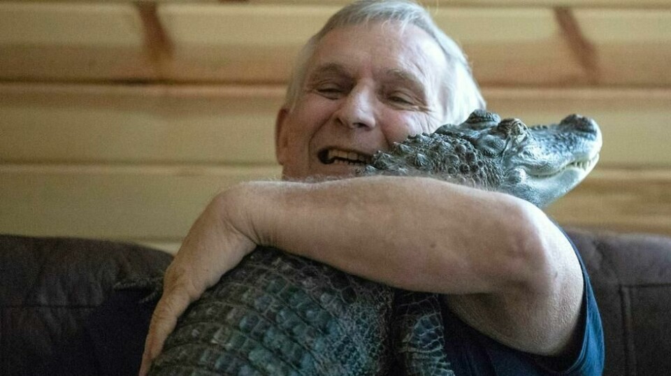 Arkivbilde av Joe Henney og alligatoren Wally. Foto: Heather Khalifa / The Philadelphia Inquirer via AP / NTB